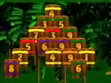 Jungle Fruit
